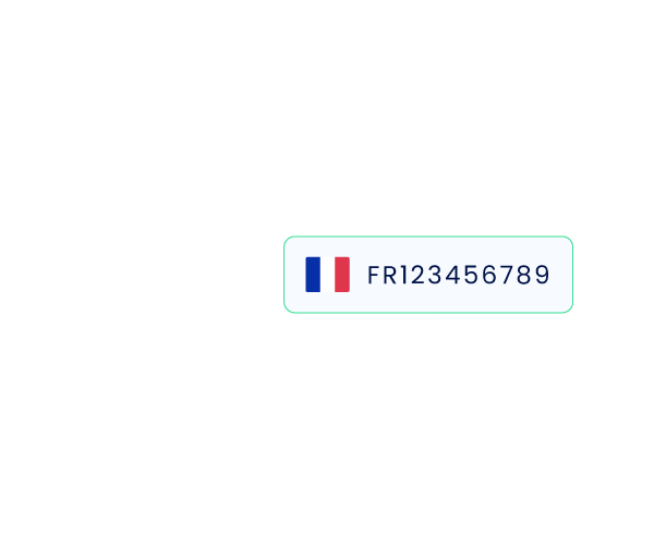 Mappa della Francia con numero di partita IVA francese evidenziato
