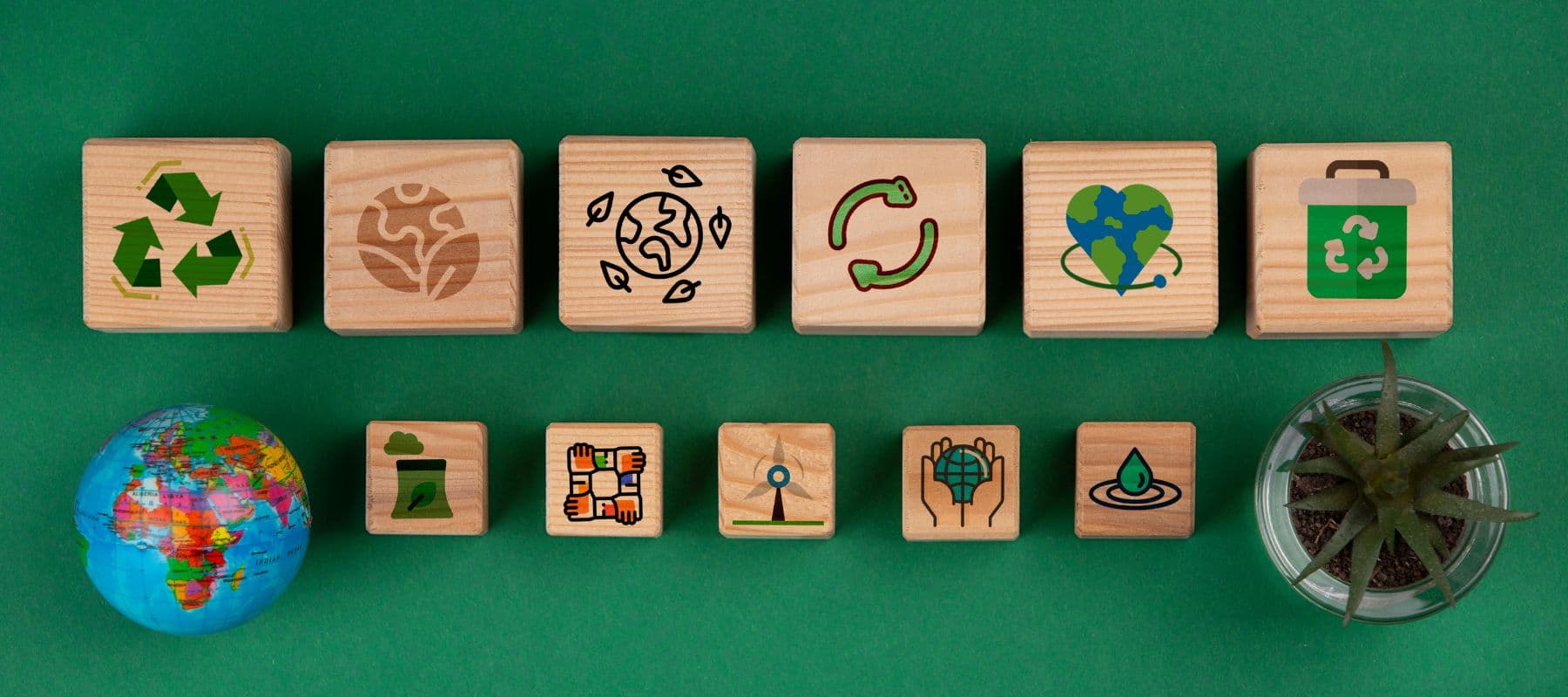 quelles sont les filieres rep